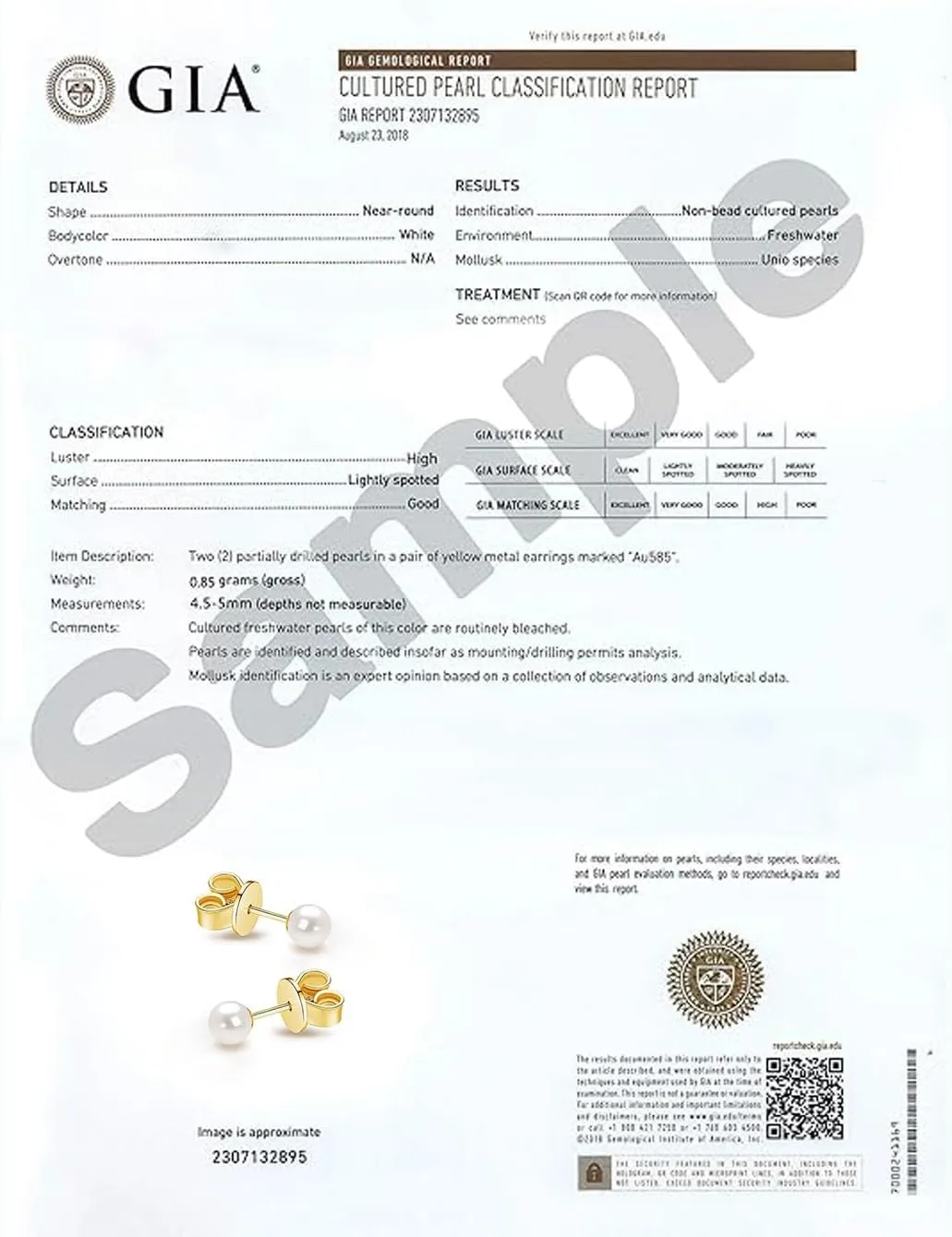 JORA 14K Gold AAA  Handpicked Round Freshwater Cultured White Pearl Stud Earrings for Women Girls
