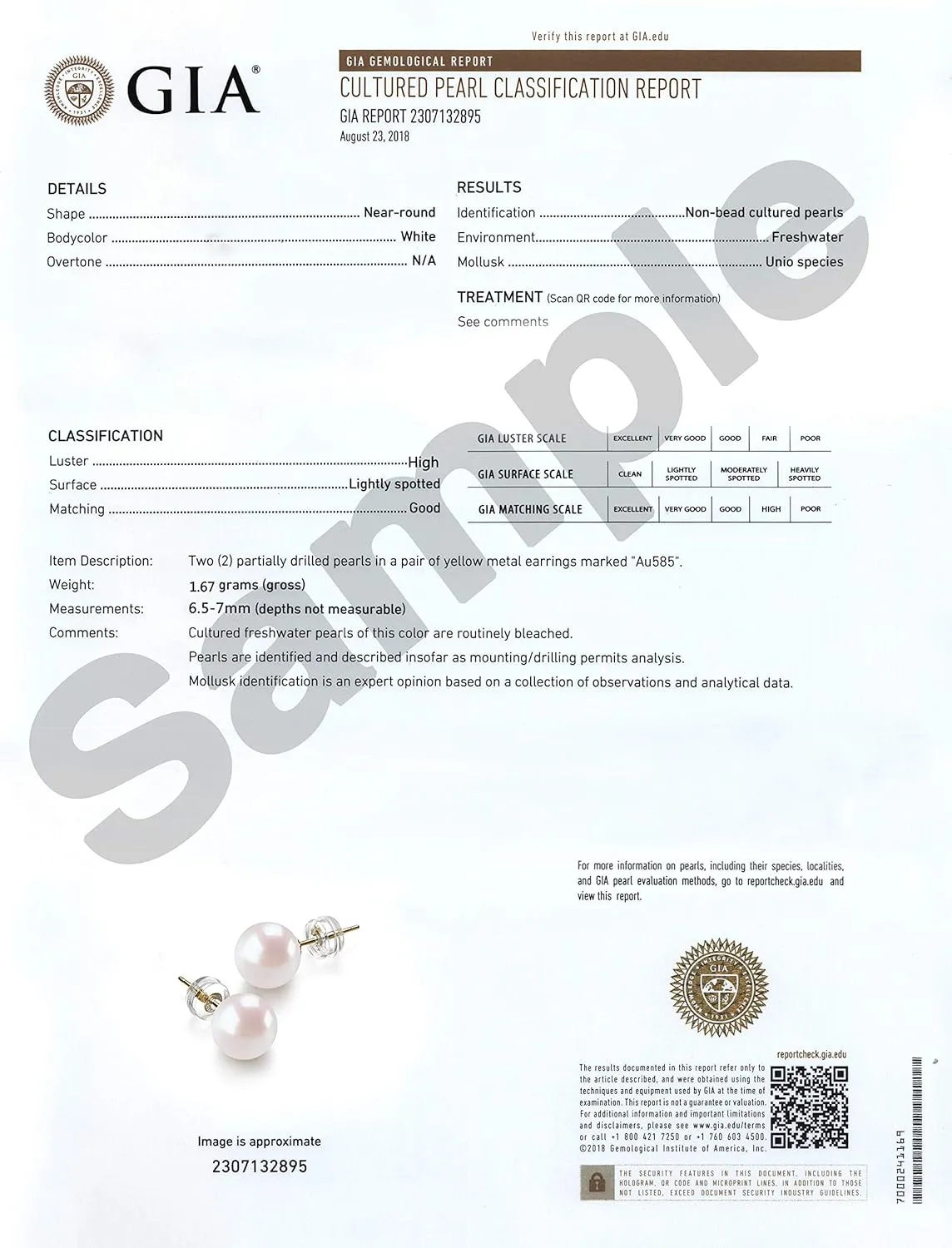 JORA 14K Gold Round White Freshwater Cultured Pearl Stud Earrings for Women - AAAA Quality