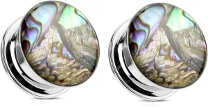 Pair Screw On Fit Abalone Shell Surgical Steel Plugs gauges 2g 0g 00g 1/2 3/4 inch men women pretty unique colorful
