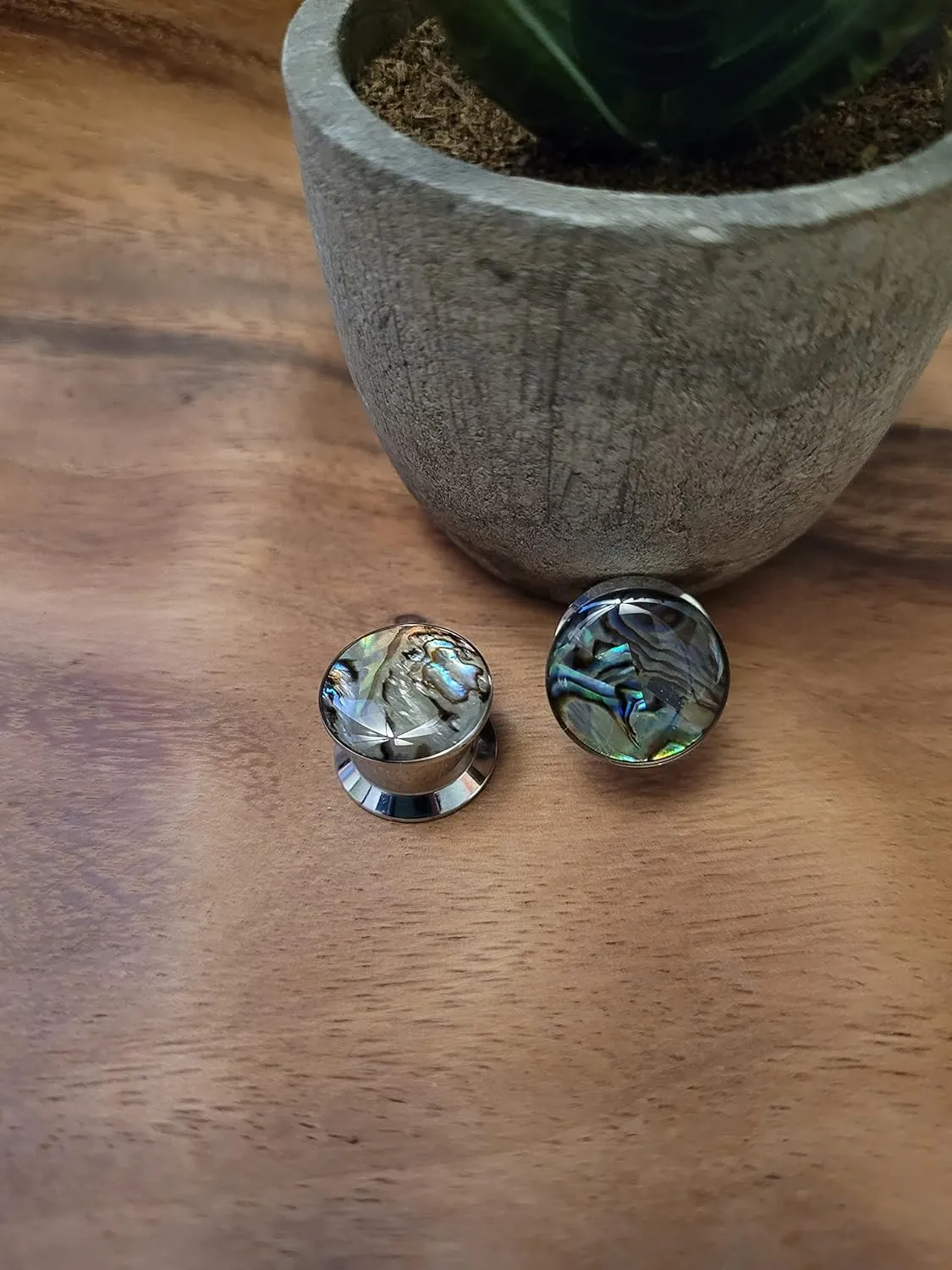 Pair Screw On Fit Abalone Shell Surgical Steel Plugs gauges 2g 0g 00g 1/2 3/4 inch men women pretty unique colorful