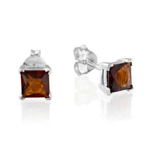 Tooliks- Sterling Silver 925 Brown Zircon Stud Earrings - Delicate Basic Stone Post Earrings - Size 5mm (brown)